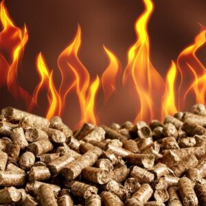 Pellets Bolsa x 15Kgs