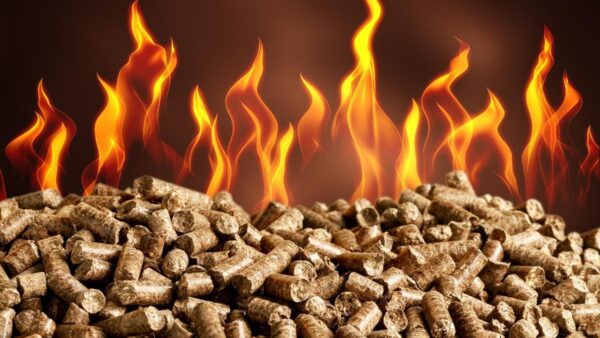 Pellets Bolsa x 15Kgs