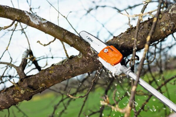 Stihl Podadora De Altura HT56 1.1hp Espada 25cm Altura Max 2.80m - Imagen 4